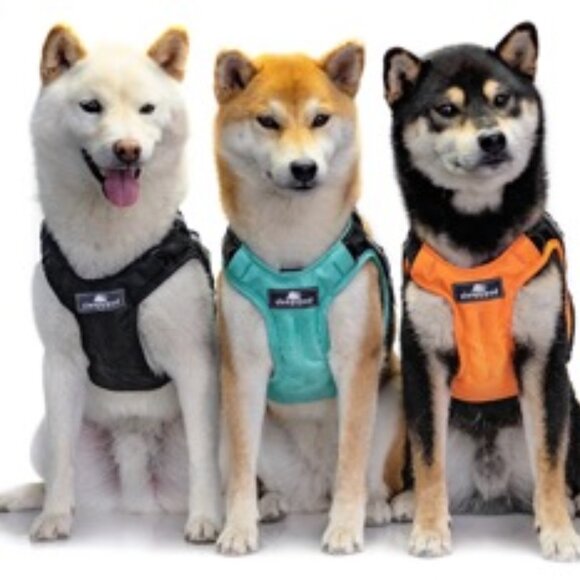 Sleepypod Clickit Terrain Plus black dog harness M crash-tested - Picture 9 of 10